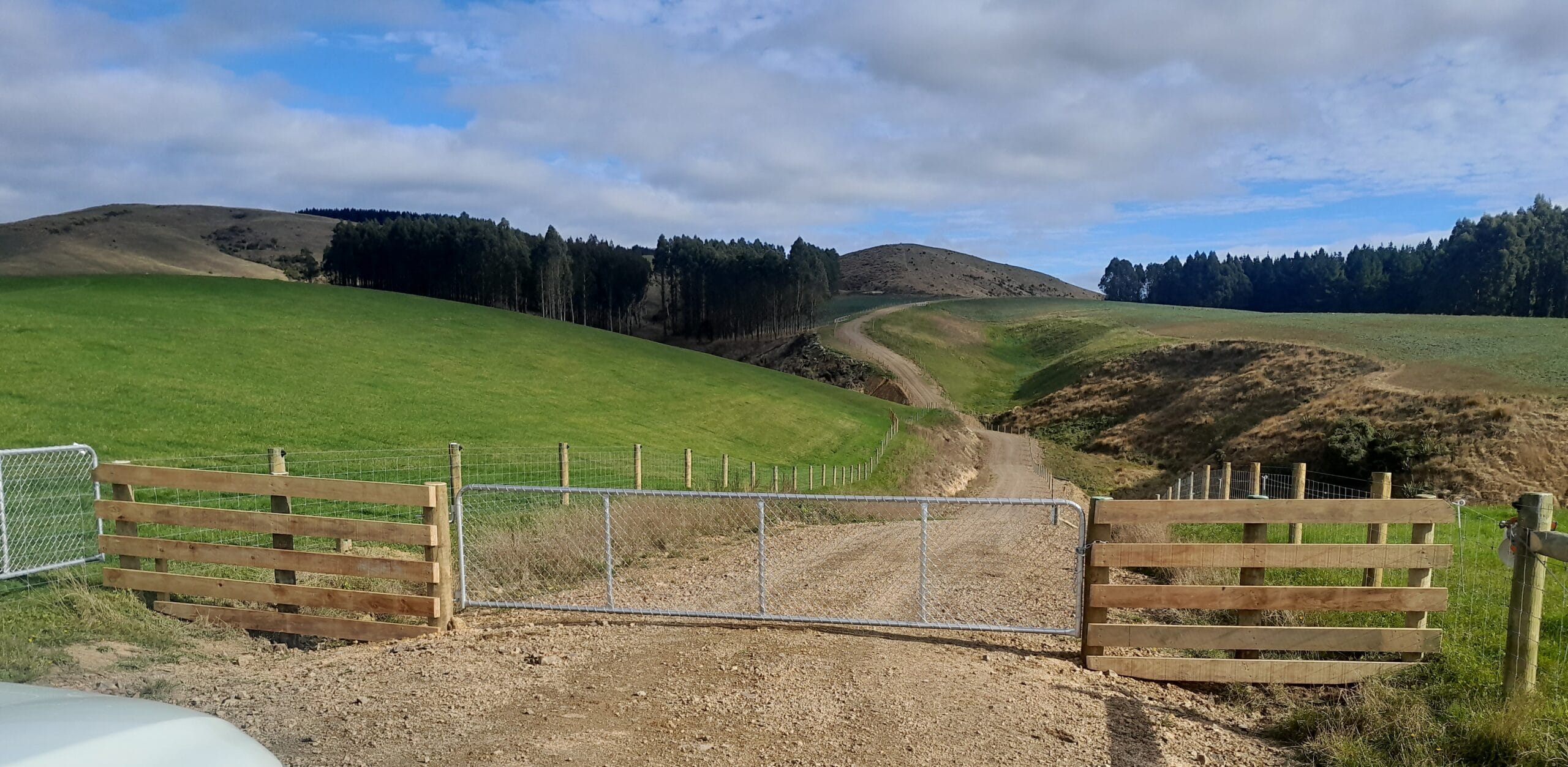 South Otago 3 Insulators South Island Nz