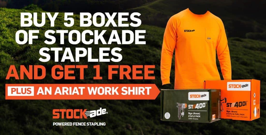 Ariat Promo