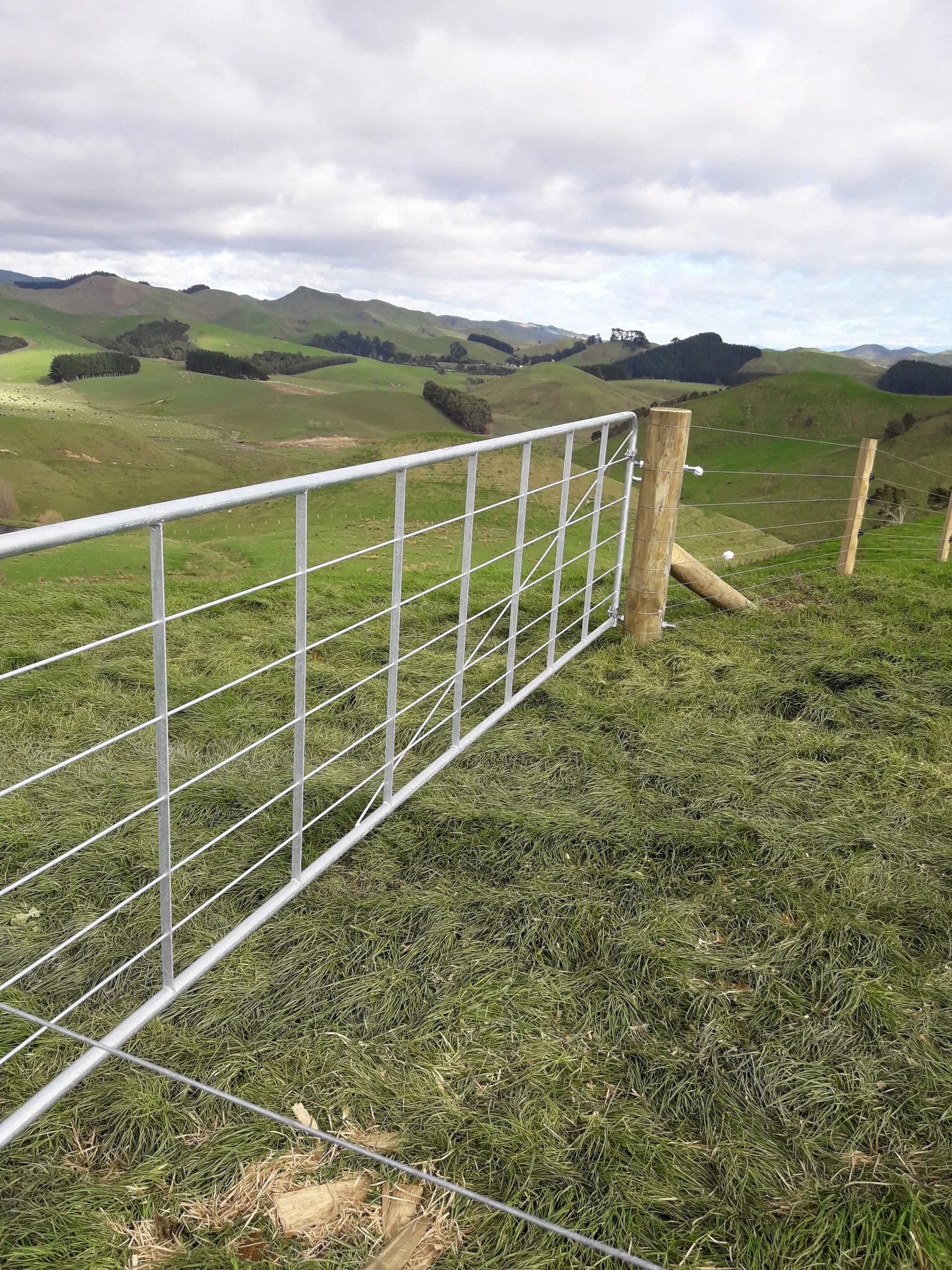 Mums Farm Near Woodville North Island Nz 1